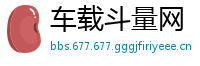 车载斗量网